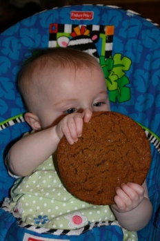 Baby J with a jumbo molasses cookie