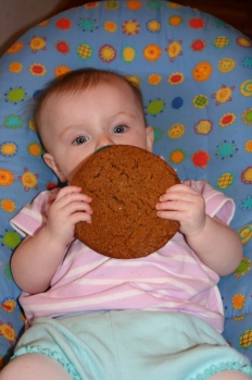 baby L with a jumbo molasses cookie