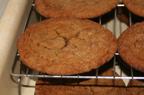 jumbo molasses cookie closeup